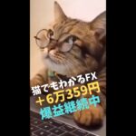 超必勝法🤣【FXとバイナリーオプション】このサインを見るだけで常勝取引が可能！