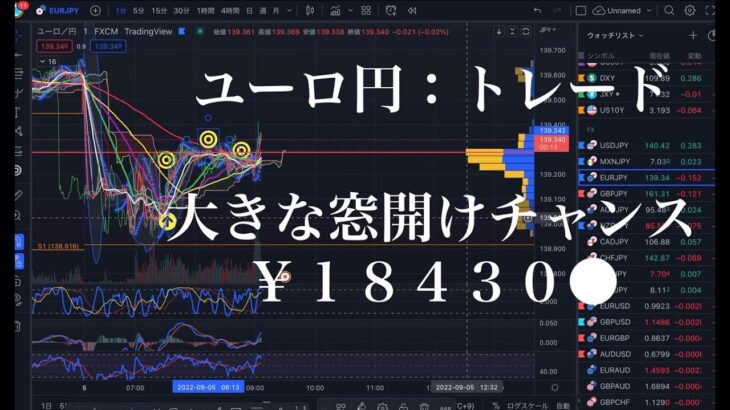 FX 窓埋めトレード　必勝法