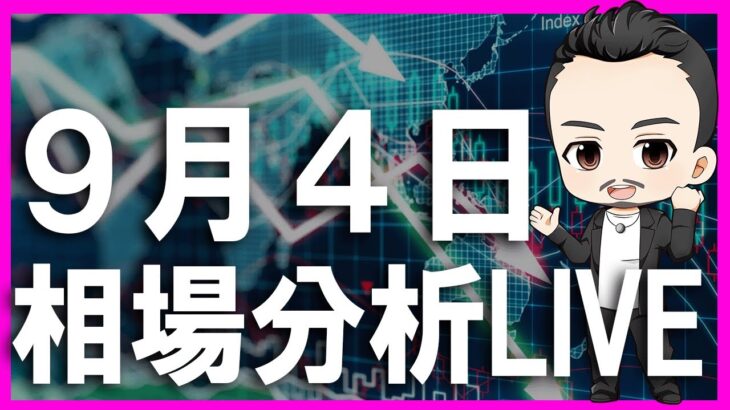 【見るだけFX】見るだけでチャート分析スキルが上がる放送