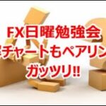 FX日曜勉強会 難解チャートもペアリングでガッツリ‼