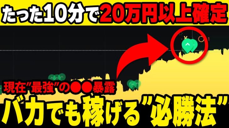 【10分で稼げる】マーチン一切なしで月収20万円可能！5分取引攻略法を限定公開！相場に合った設定数値も暴露！【バイナリーオプション 必勝法】【初心者 副業】【ハイローオーストラリア】【プレゼント】