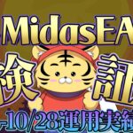 【FX自動売買 Midas EA】豊富な機能設定でGOLDのボラティリティーに耐えるEA【2022.10.24-10.28運用実績】