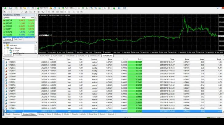 EFTP Forex EA-2Months Review-Automated Trading-Forex Robot-Forex Trading Bot-FX Robot Day Trading EA