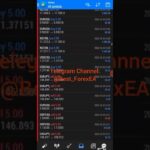 Live Trading Best Forex EA  ( Scalping Robot )  |  Today Results $193,409