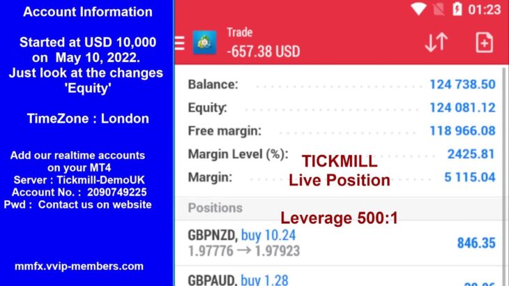 MoneyMaker FX EA Robot Live Trading