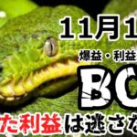 BOA【ボア】FX自動売買EA 2022年11月10日(木)実績！