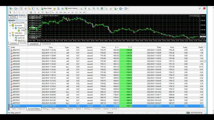 AUTO GOLD Forex EA-16 Weeks Review-Automated Forex Trading Bot-Profitable Auto Trading Forex Robot