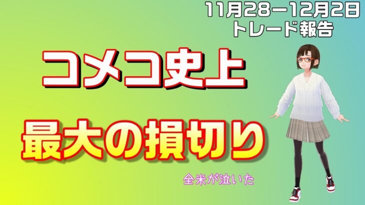 【実況45：11月28日から12月2日のスワップトレードと裁量トレード結果報告】ほぼ放置で不労所得への道