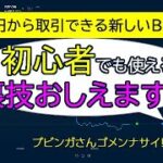 【裏技】ブビンガを使ったFX初心者でもマネできるBO必勝法！有料級かも？（bubingaバイナリーオプション）