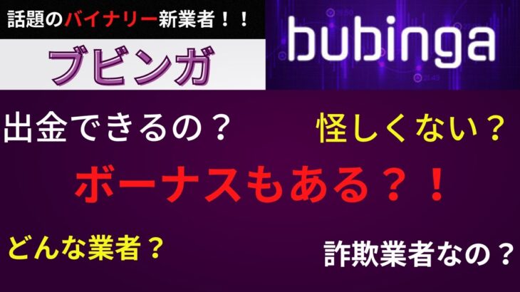 話題の新業者～ブビンガ！土日も取引が可能！バイナリー業者では珍しいシステムでボーナスも豊富！bubinga