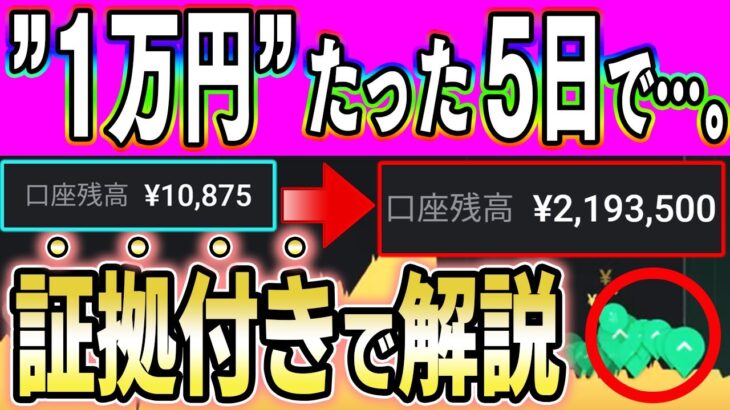 あなたの1万円が1週間で200万円になる！初挑戦でもボロ儲けできる必勝法！楽に稼ぐならこれしかない！【バイナリーオプション】【投資】【副業】【FX】【ハイローオーストラリア】