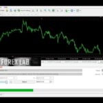 Hunting cat scalper Mt4 Robot| FREE Download EA | FOREX 2023 | AUTO TRADING