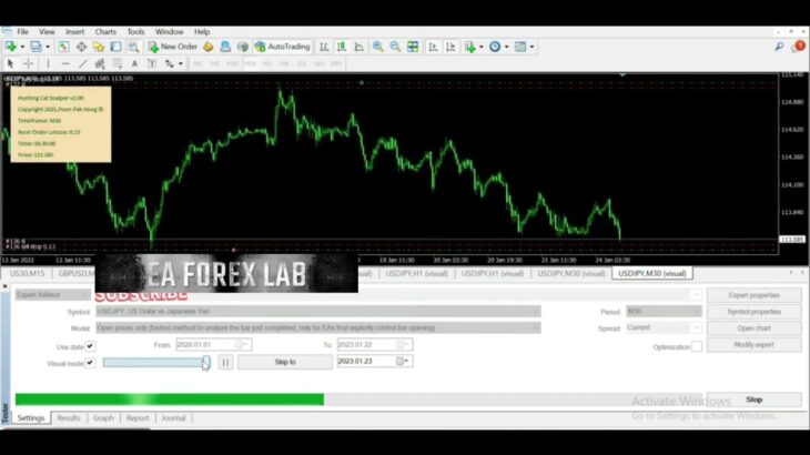 Hunting cat scalper Mt4 Robot| FREE Download EA | FOREX 2023 | AUTO TRADING