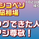 【実況52：1月23日から1月27日のスワップトレードと裁量トレード結果報告】ほぼ放置で不労所得への道