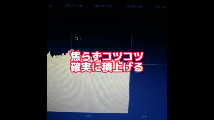 🔥バイナリー日記 勝率100％ 1勝0負