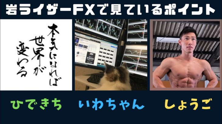 【岩ライザーFX】EA分析において見ているポイント【ひできち＆マッスルニキ】