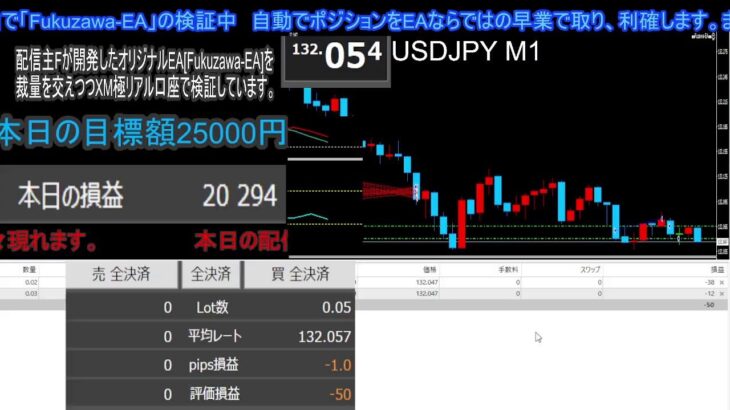 夜の部　FXライブ配信 　自作EAで勝つ？リアル口座で挑戦！本日の目標25000円の巻