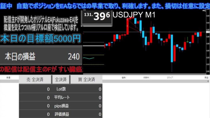 FXライブ配信 　新ロジック！自作EAで勝つ？本日の目標5000円の巻