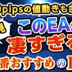 【1000pipsの下落も余裕？！】今一番おすすめするEAと運用方法について徹底解説！（FX自動売買 EA）