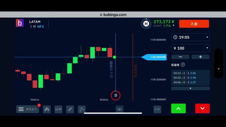 バイナリーオプション　ブビンガ　NFX 5