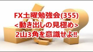 FX土曜勉強会(355)動き出しの見極め 2山3角を意識せよ‼