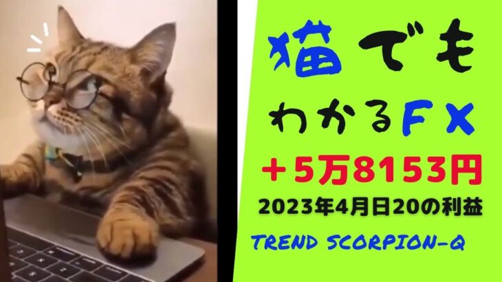 超必勝法🤣【FX取引】このサインを見るだけで常勝取引が可能！