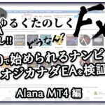 海外EAお宝探し！$100で始められるナンピン系　オジカナダEAを検証！Alana EA MT4編