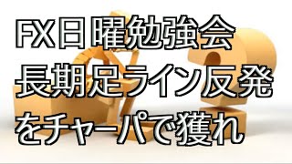 FX日曜勉強会 長期足ライン反発をチャーパで獲れ