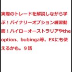 実際のトレードを解説しながら学ぶ！バイナリーオプション練習動画！ハイローオーストラリアやthe option、bubinga等。FXにも使えるかも。