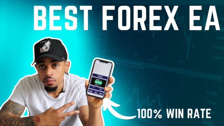 How I Passed MyForexFunds 5k Challenge using the best forex EA | 100% WIN RATE