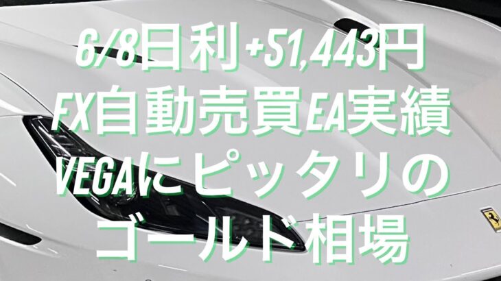 6/8日利+51,443円 FX自動売買EA実績 Vegaにピッタリのゴールド相場