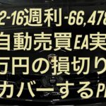 6/12-16週利-66,478円 FX自動売買EA実績 30万円の損切りをカバーするPF