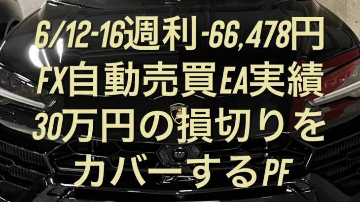 6/12-16週利-66,478円 FX自動売買EA実績 30万円の損切りをカバーするPF