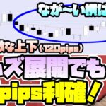 【FX】ニューヨーク時間の厄介な値動きも”資金管理”次第で楽に乗り切れる【トレード実況】