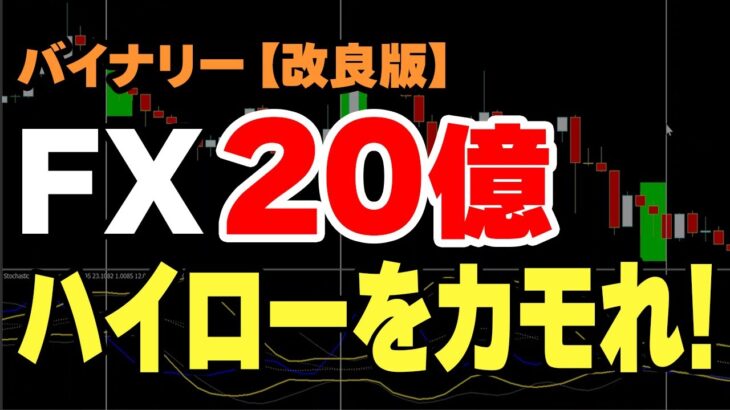 FXで20億叩き出した手法をバイナリー版に改良＆ツール化！ハイローを面白いくらいカモれますが乱用禁止です！期間限定公開！インジケーター無料配布！【バイナリーオプション 必勝法】【初心者 副業】【投資】