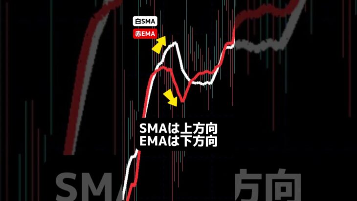 結局は〇〇を見抜けた人が勝つ！ #fx #fx初心者 #fx手法 #ドル円 #fx勝ち方 #fx必勝法 #移動平均線