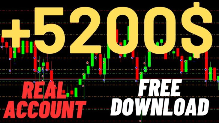 +5200$ in just 4 days | Forex Grid EA Download Free | Free Forex EA