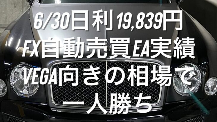 6/30日利19,839円 FX自動売買EA実績 Vega向きの相場で一人勝ち