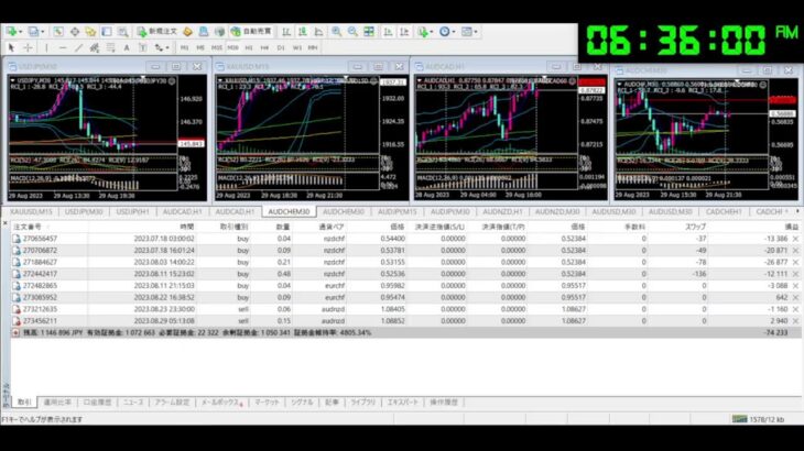 FX 為替 自動売買 ライブ配信 シグナル EA Tycoon 2023/8/