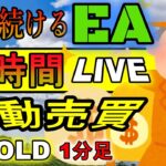 2/9-7/31 +167万5,014円　【FXライブ】1分足 GOLDゴールド XAUUSD 自動売買　EA　FX 　ライブ配信　LIVE #ドル円　#FX 　＃為替