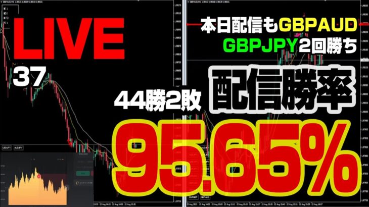 【37】バイナリーオプションXライブトレード配信 勝率95.65％ 44勝2敗