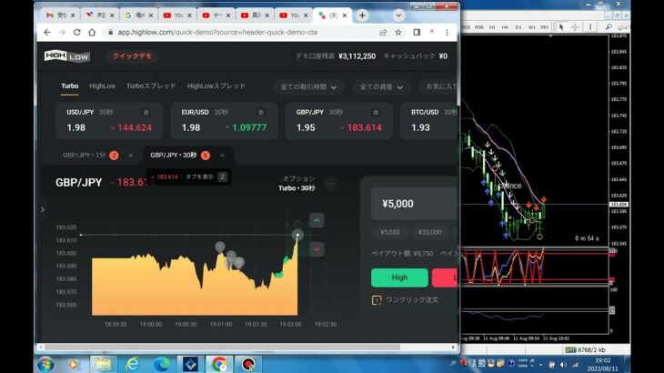 FX バイナリーオプションで勝てるにはどうすればいいか 230811