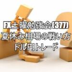 FX土曜勉強会(377)夏休み相場の戦い方　ドル円トレード