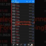 Live Trading Best Forex EA  (Scalping Robot) |  Today Results $213,566 #fxea #forexearobot #scalping