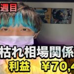 【FX自動売買】8月4週目　夏枯れ相場関係無く利益￥70,422