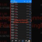 Live Trading Best Forex EA  ( Scalping Robot ) | Today Results $86,086 #fxea #forexearobot #scalping
