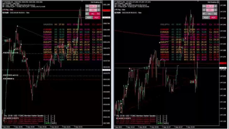 FX自動売買EAトレーディング(Automated Portfolio EA Trading.)