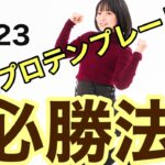 【2023年】FX「プロテンプレート」を使用した必勝法