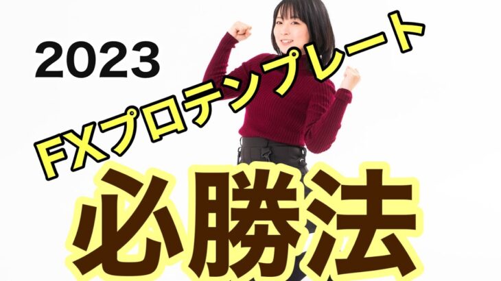 【2023年】FX「プロテンプレート」を使用した必勝法