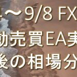 【FX】9/4~9/8 FX自動売買EA実績・今後の相場分析